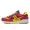 Кросівки Saucony SHADOW 5000 FALL FOLIAGE S70843-2